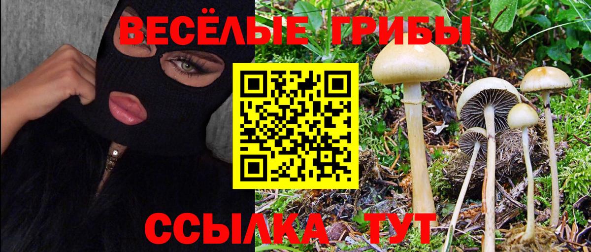 Псилоцибиновые грибы Psilocybe  Псилоцибиновые грибы Cubensis  Вход с VPN  Усть-Джегута 